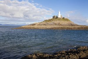 mumbles 12 sm.jpg